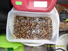 Magura 9 26 - 26 mai.